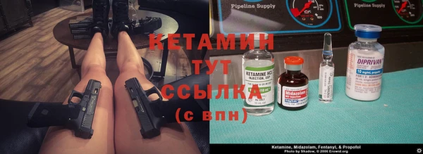 сатива Липки