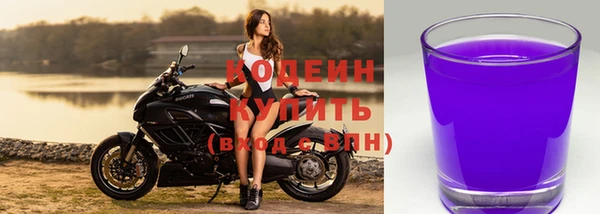 сатива Липки