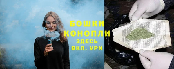ГАЛЛЮЦИНОГЕННЫЕ ГРИБЫ Ладушкин
