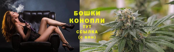 ГАЛЛЮЦИНОГЕННЫЕ ГРИБЫ Ладушкин