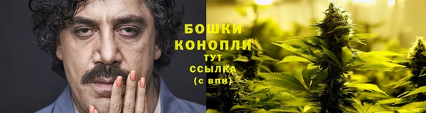 Альфа ПВП Лагань