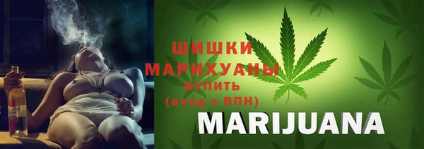 Альфа ПВП Лагань