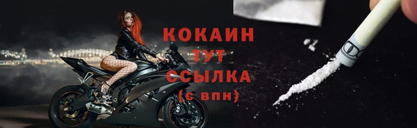 Альфа ПВП Лагань