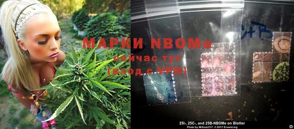 Альфа ПВП Лагань