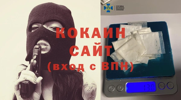 Альфа ПВП Лагань